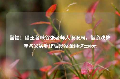 警惕!借王者峡谷张老师人设设局,借游戏教学名义实施诈骗涉案金额达2200元