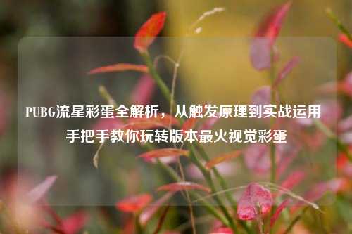 PUBG流星彩蛋全解析，从触发原理到实战运用 手把手教你玩转版本最火视觉彩蛋