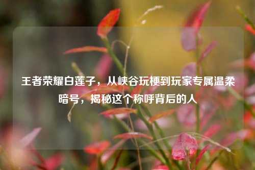 王者荣耀白莲子,从峡谷玩梗到玩家专属温柔暗号,揭秘这个称呼背后的人