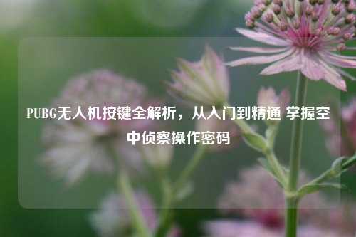 PUBG无人机按键全解析,从入门到精通 掌握空中侦察操作密码