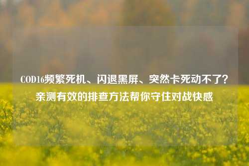 COD16频繁死机、闪退黑屏、突然卡死动不了？亲测有效的排查方法帮你守住对战快感