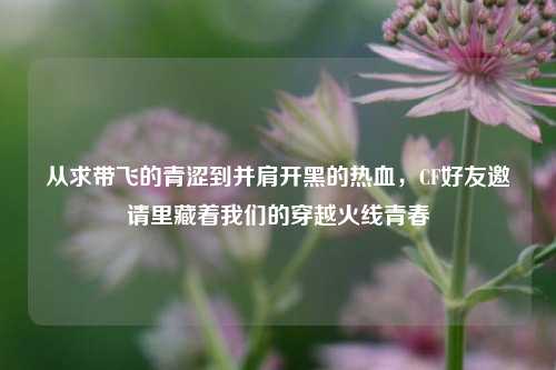 从求带飞的青涩到并肩开黑的热血,CF好友邀请里藏着我们的穿越火线青春