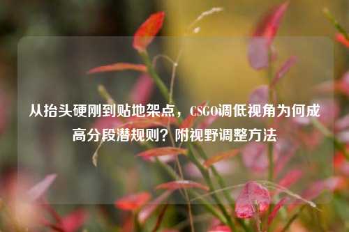 从抬头硬刚到贴地架点，CSGO调低视角为何成高分段潜规则？附视野调整方法