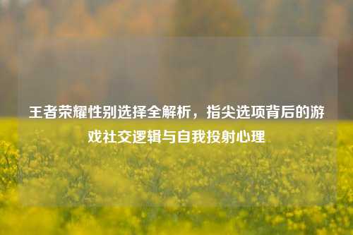 王者荣耀性别选择全解析，指尖选项背后的游戏社交逻辑与自我投射心理
