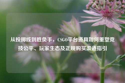 从投掷线到胜负手，CSGO平台道具如何重塑竞技公平、玩家生态及正规购买渠道指引