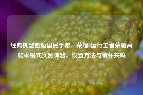 经典机型邂逅国民手游,荣耀8运行王者荣耀高帧率模式实测体验、设置方法与情怀共鸣