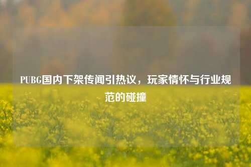 PUBG国内下架传闻引热议，玩家情怀与行业规范的碰撞