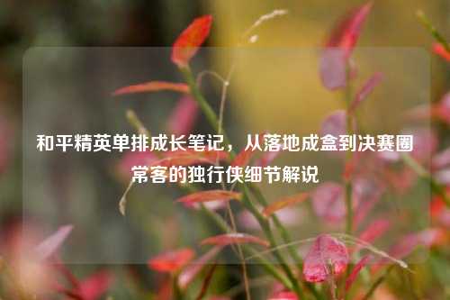 和平精英单排成长笔记，从落地成盒到决赛圈常客的独行侠细节解说