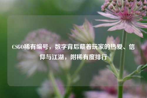 CSGO稀有编号，数字背后藏着玩家的热爱、信仰与江湖，附稀有度排行