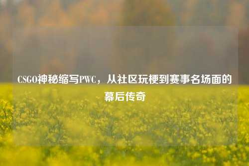 CSGO神秘缩写PWC,从社区玩梗到赛事名场面的幕后传奇
