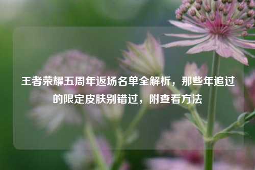 王者荣耀五周年返场名单全解析,那些年追过的限定皮肤别错过,附查看方法