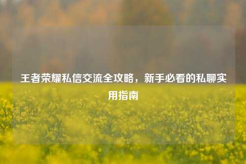 王者荣耀私信交流全攻略,新手必看的私聊实用指南