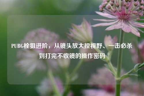 PUBG栓狙进阶,从镜头放大控视野、一击必杀到打完不收镜的操作密码