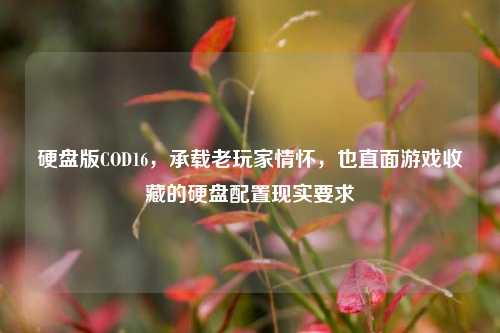 硬盘版COD16,承载老玩家情怀,也直面游戏收藏的硬盘配置现实要求