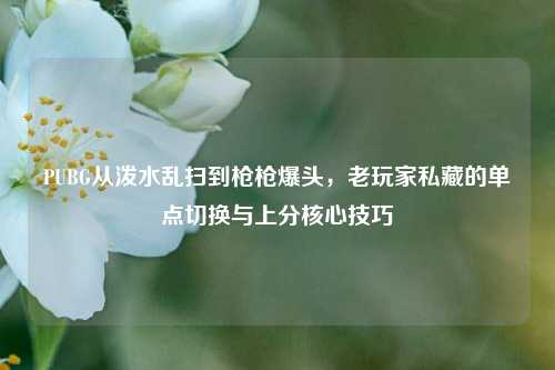 PUBG从泼水乱扫到枪枪爆头,老玩家私藏的单点切换与上分核心技巧