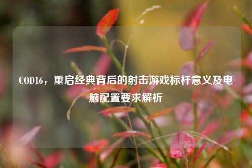 COD16,重启经典背后的射击游戏标杆意义及电脑配置要求解析