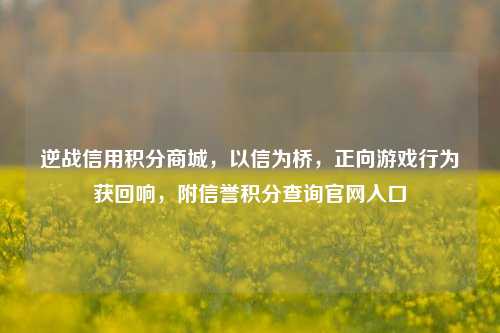 逆战信用积分商城,以信为桥,正向游戏行为获回响,附信誉积分查询官网入口