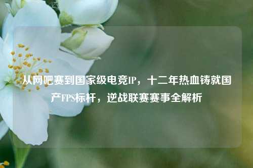 从网吧赛到国家级电竞IP，十二年热血铸就国产FPS标杆，逆战联赛赛事全解析