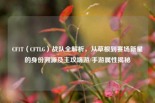 CF1T(CFTLG)战队全解析,从草根到赛场新星的身份溯源及主攻端游/手游属性揭秘