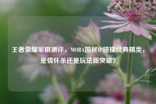王者荣耀军棋测评,MOBA国民IP碰撞经典棋类,是情怀杀还是玩法新突破?