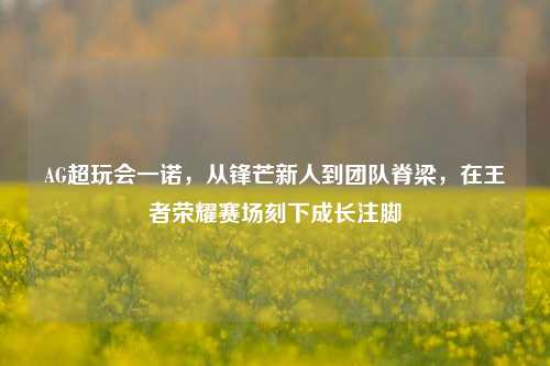 AG超玩会一诺，从锋芒新人到团队脊梁，在王者荣耀赛场刻下成长注脚
