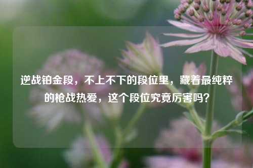 逆战铂金段，不上不下的段位里，藏着最纯粹的枪战热爱，这个段位究竟厉害吗？