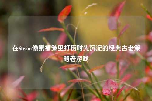 在Steam像素褶皱里打捞时光沉淀的经典古老策略老游戏