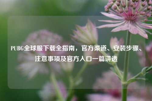 PUBG全球服下载全指南，官方渠道、安装步骤、注意事项及官方入口一篇讲透