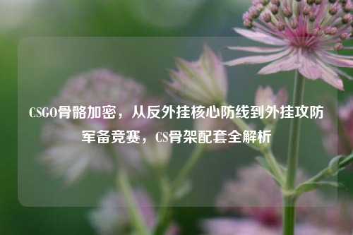 CSGO骨骼加密,从反外挂核心防线到外挂攻防军备竞赛,CS骨架配套全解析