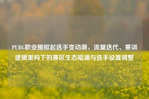 PUBG职业圈掀起选手变动潮,流量迭代、赛训逻辑重构下的赛区生态暗涌与选手设置调整