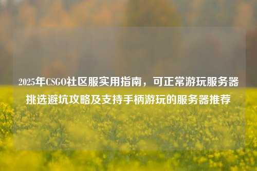 2025年CSGO社区服实用指南，可正常游玩服务器挑选避坑攻略及支持手柄游玩的服务器推荐