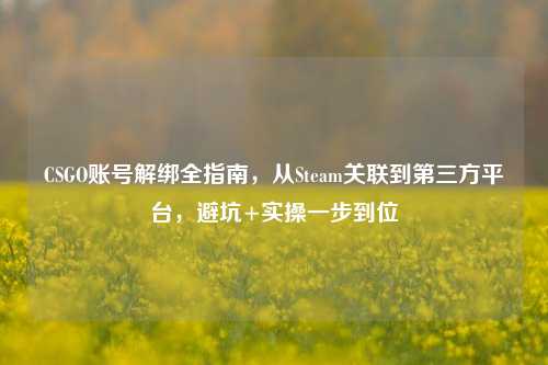 CSGO账号解绑全指南,从Steam关联到第三方平台,避坑+实操一步到位