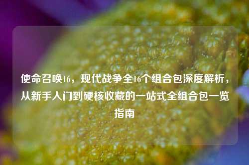 使命召唤16,现代战争全16个组合包深度解析,从新手入门到硬核收藏的一站式全组合包一览指南