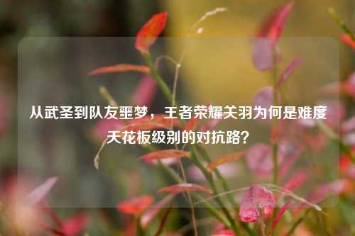 从武圣到队友噩梦，王者荣耀关羽为何是难度天花板级别的对抗路？