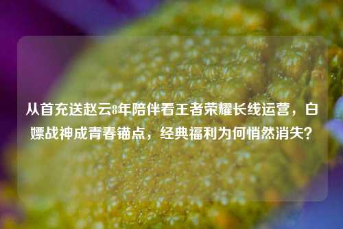 从首充送赵云8年陪伴看王者荣耀长线运营,白嫖战神成青春锚点,经典福利为何悄然消失?