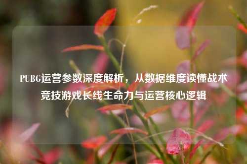 PUBG运营参数深度解析，从数据维度读懂战术竞技游戏长线生命力与运营核心逻辑