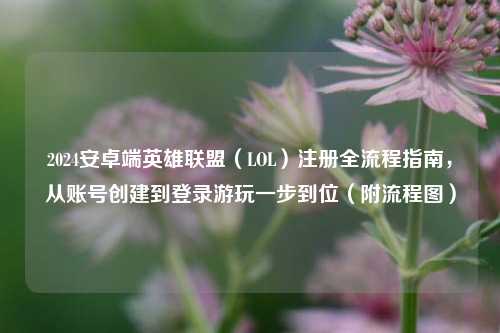 2024安卓端英雄联盟(LOL)注册全流程指南,从账号创建到登录游玩一步到位(附流程图)