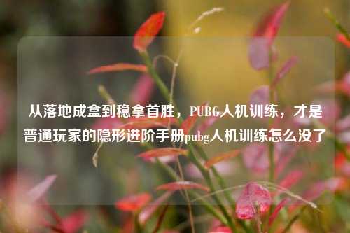 从落地成盒到稳拿首胜,PUBG人机训练,才是普通玩家的隐形进阶手册pubg人机训练怎么没了