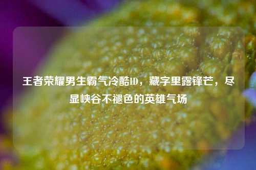 王者荣耀男生霸气冷酷ID,藏字里露锋芒,尽显峡谷不褪色的英雄气场