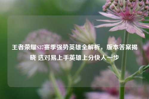 王者荣耀S37赛季强势英雄全解析，版本答案揭晓 选对易上手英雄上分快人一步