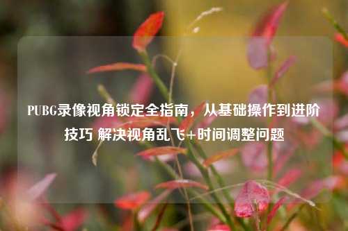 PUBG录像视角锁定全指南,从基础操作到进阶技巧 解决视角乱飞+时间调整问题