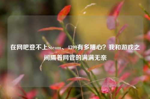 在网吧登不上Steam、4399有多糟心？我和游戏之间隔着网管的满满无奈