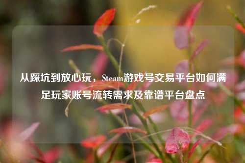 从踩坑到放心玩，Steam游戏号交易平台如何满足玩家账号流转需求及靠谱平台盘点