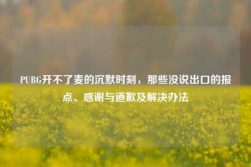 PUBG开不了麦的沉默时刻，那些没说出口的报点、感谢与道歉及解决办法