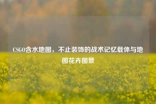 CSGO含水地图，不止装饰的战术记忆载体与地图花卉图景