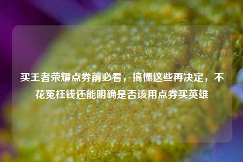 买王者荣耀点券前必看,搞懂这些再决定,不花冤枉钱还能明确是否该用点券买英雄