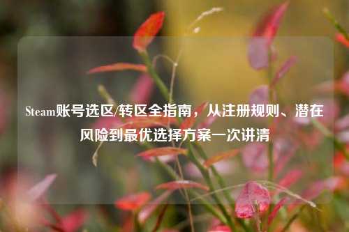 Steam账号选区/转区全指南,从注册规则、潜在风险到最优选择方案一次讲清