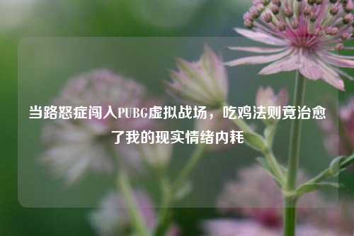 当路怒症闯入PUBG虚拟战场，吃鸡法则竟治愈了我的现实情绪内耗