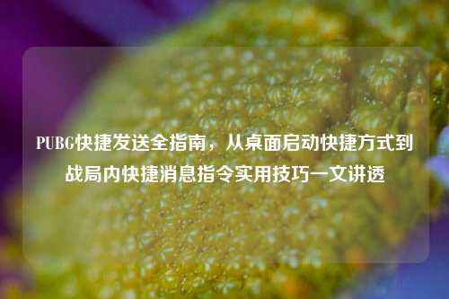 PUBG快捷发送全指南，从桌面启动快捷方式到战局内快捷消息指令实用技巧一文讲透