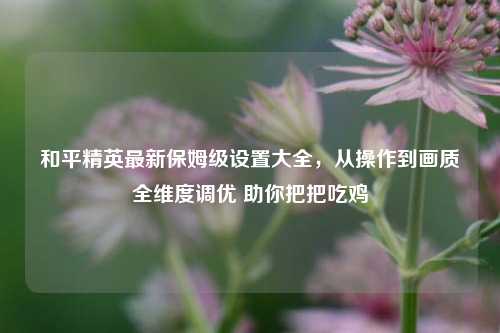 和平精英最新保姆级设置大全,从操作到画质全维度调优 助你把把吃鸡